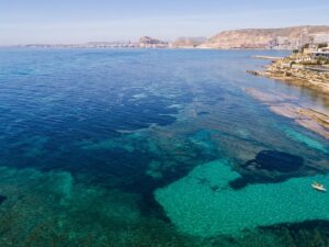 foto-calita-con-tabla-de-surf