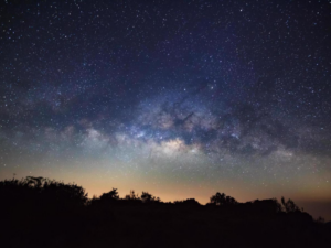 estrella en cielo nocturno sobre los arboles